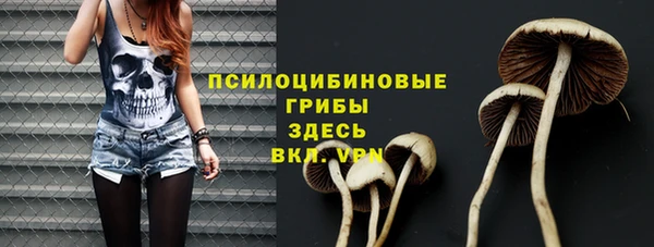 ГАЛЛЮЦИНОГЕННЫЕ ГРИБЫ Алексеевка