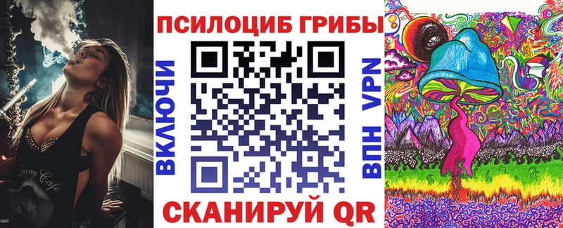 Псилоцибиновые грибы GOLDEN TEACHER  продажа наркотиков  Йошкар-Ола 